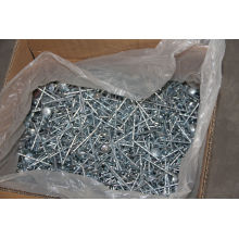 ISO9001 Factory Supply Galvanized Umbrella Head Roofing Nails